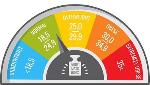 bmi measure :weight loss program
